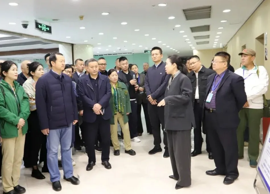 1765527741473877.png 2659c8ab-2eeb-4ab4-8d6d-326153d4d016.png